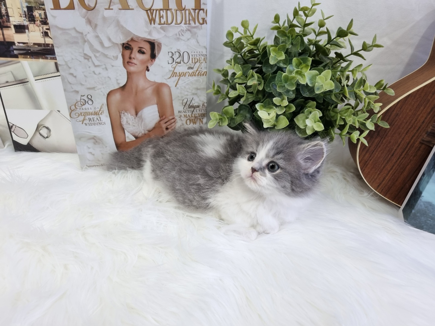 먼치킨(20만원부터)